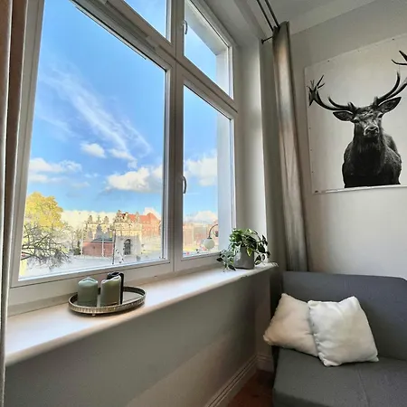 Munn 9 * Szczecin
